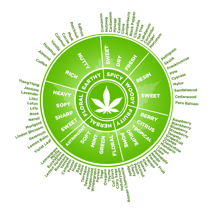 Cannabis Terpenes Chart Wheel